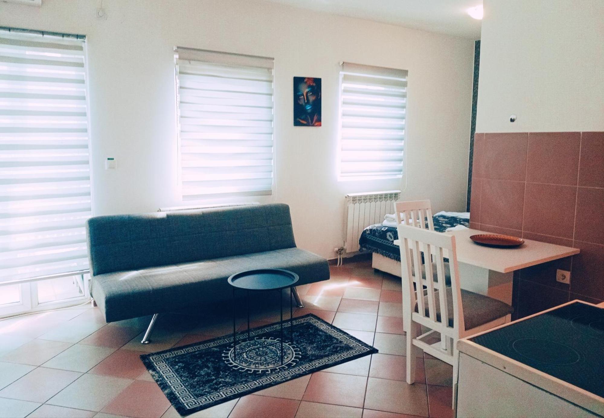 Easy Check In Apartments 021 Vladika 노비사드 객실 사진